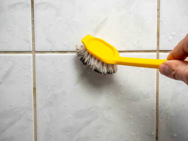 Best Post-Flood Mold Remediation in Alta Sierra, CA