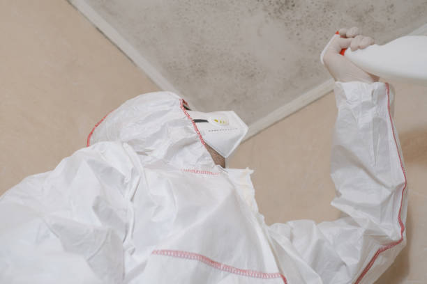 Best Mold Remediation for Specific Building Types in Alta Sierra, CA